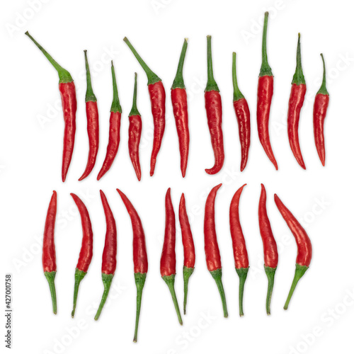 Chili pepper isolated on white background. Diferent shapes.