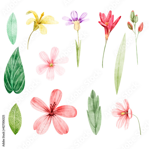 Watercolor set of colorful flowers and leaves