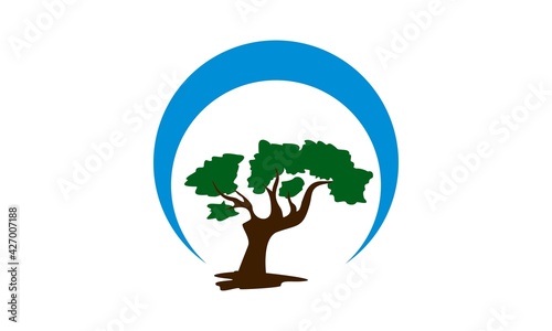 nature tree vector