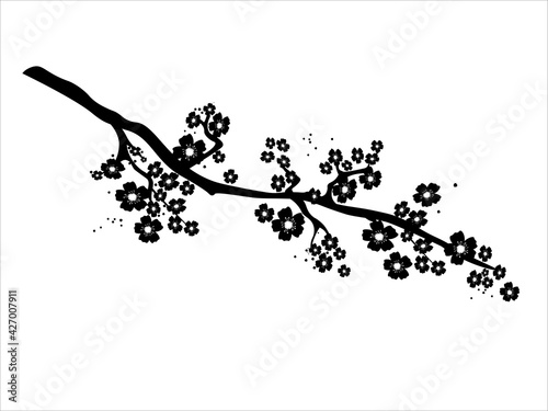 A  japanese sakura blossom branch on a white background. Isolated black silhouette with beautiful spring cherry flowers. Vector illustration.