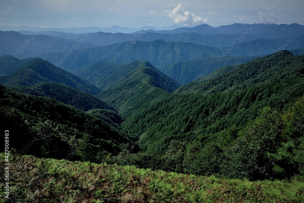 Naklejka premium 奥多摩、雲取山の登山風景