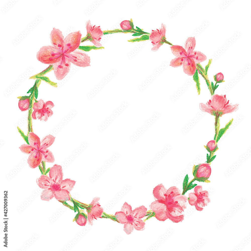 oil pastel of pink cherry blossom, floral wreath circle frame on white background, isolated illustration