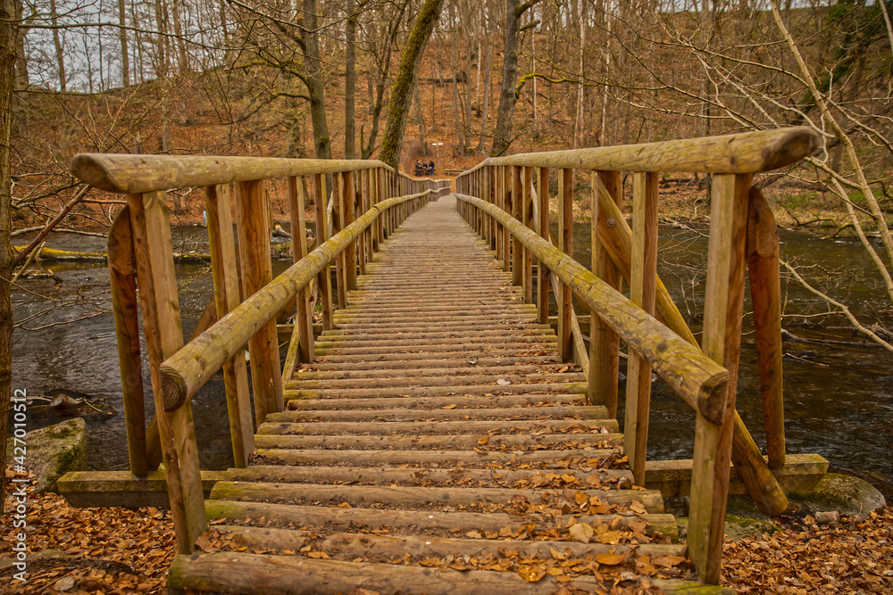Obraz premium wooden bridge over river warnow Mecklenburg-Western Pomerania