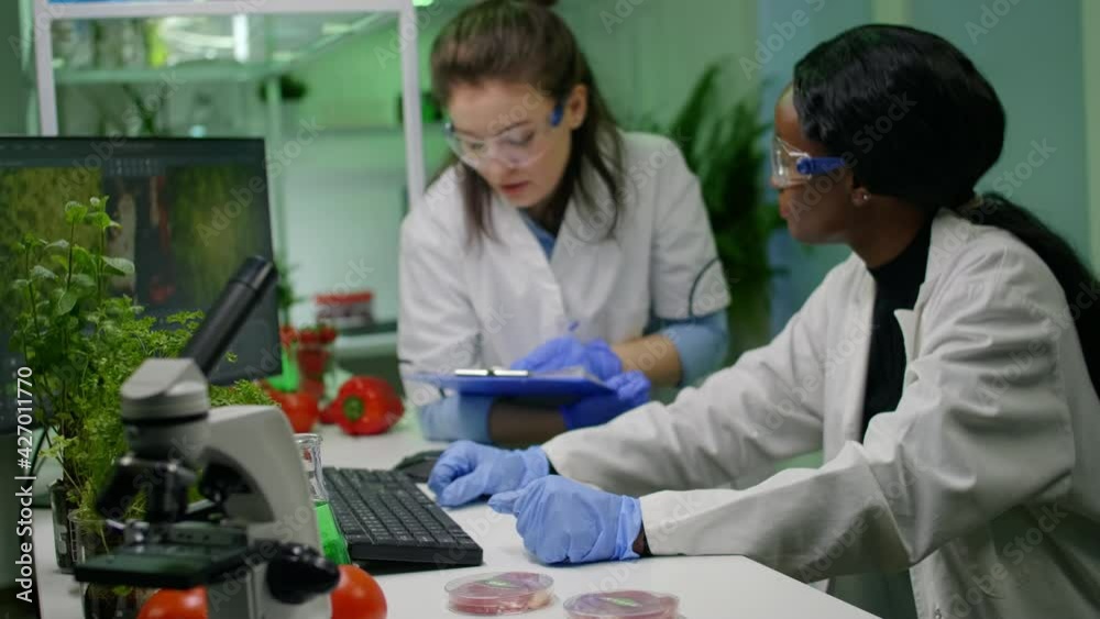Medical team researchers analyzing botany expertise on computer discovering genetic mutation. Pharmaceuticals scientist working in biochemistry laboratory at biological agriculture experiment Medical team researchers analyzing botany expertise on computer discovering genetic mutation. Pharmaceuticals scientist working in biochemistry laboratory at biological agriculture experiment