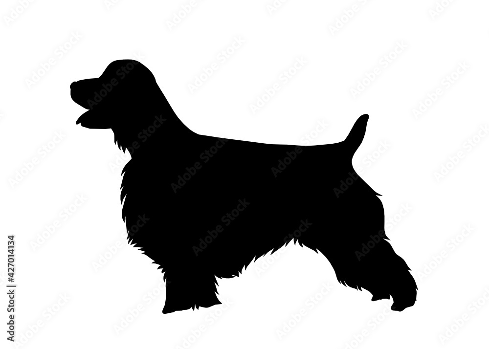 English springer spaniel dog silhouette, Vector silhouette of a dog on a white background.	