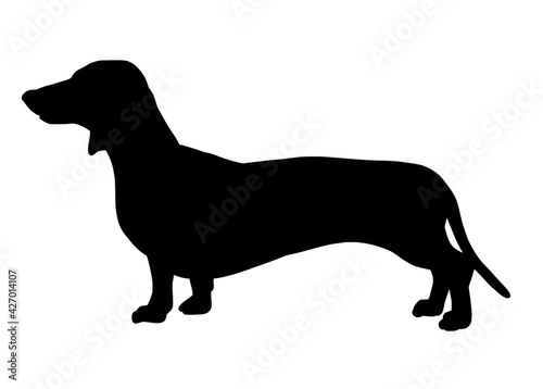 Dachshund dog silhouette, Vector silhouette of a dog on a white background.	