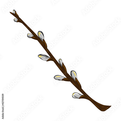 Pussy willow branch icon. Creative illustration. Colorful sketch. Idea for decors, logo, patterns, papers, covers, gifts, summer and spring holidays, floral natural themes. Isolated vector art.