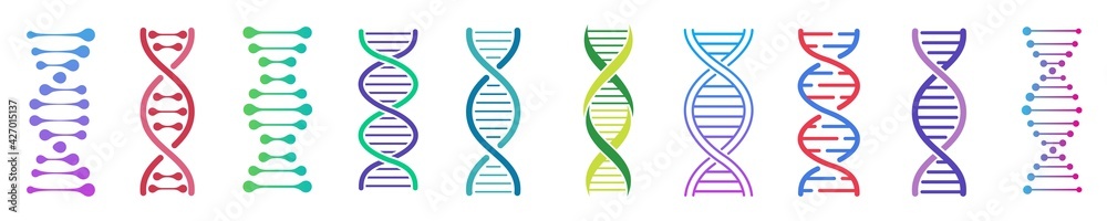 dna icon set, dna helix, chromosome, molecule symbol, Vector illustration.