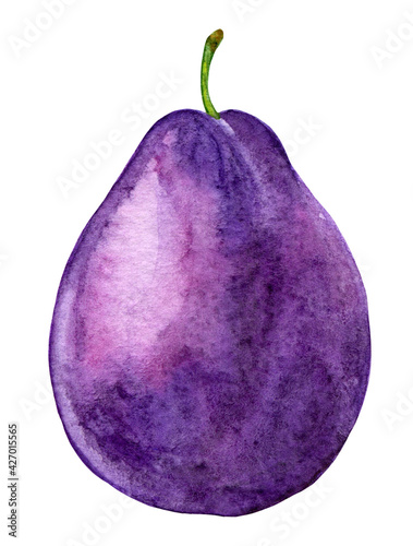 Purple plum watercolor, juicy illustration. Clipart on a white background.
