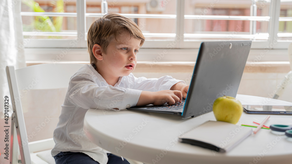 boy child is using a laptop and study online at home. homeschooling, distant learning boy child is using a laptop and study online at home. homeschooling, distant learning