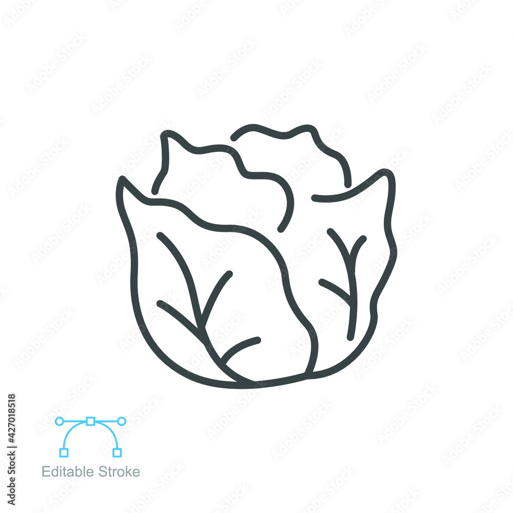 Cabbage icon. Green organic vegetable and food logo. vegetarian salad recipe. Fresh leaves lettuce. Outline style pictogram Editable stroke. Vector illustration. Design on white background. EPS 10 Cabbage icon. Green organic vegetable and food logo. vegetarian salad recipe. Fresh leaves lettuce. Outline style pictogram Editable stroke. Vector illustration. Design on white background. EPS 10