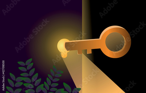 Vector golden key access to key hole abstract key to success and solution conceptual