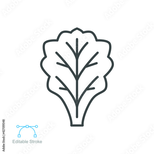 lettuce icon. Salad sign. Organic Leaf Lettuce vegetable logo of healthy symbol for food app and website. Editable stroke. Vector illustration. Design on white background. EPS 10