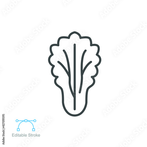 lettuce icon. Salad sign. Organic Leaf Lettuce vegetable logo of healthy symbol for food app and website. Editable stroke. Vector illustration. Design on white background. EPS 10