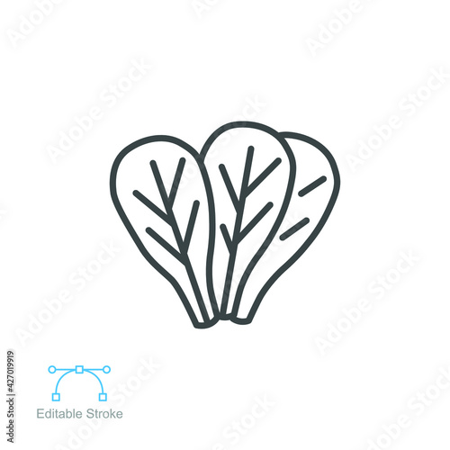 Spinach food icon. Leaves vegetable logo Spice for food apps and websites. Tasty fresh herb green leaf healthy food concept Editable stroke. Vector illustration design on white background. EPS 10