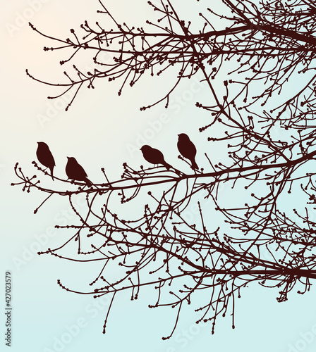 Nature background of silhouettes birds on tree branches in spring forest