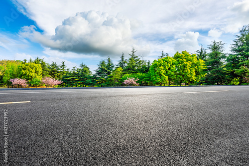 Empty asphalt road and green trees in spring season.