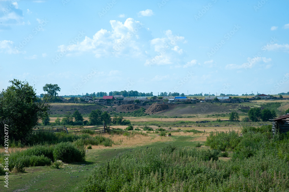 green lush grass, countryside, summer hot day with bright sun