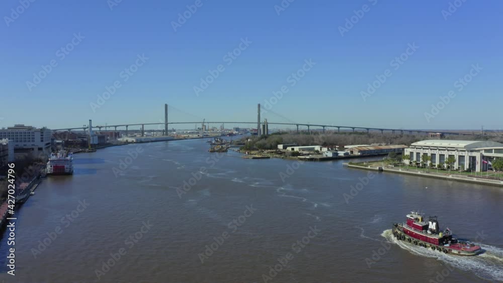 Savannah River with span of Talmadge Memorial Bridge Savannah River with span of Talmadge Memorial Bridge