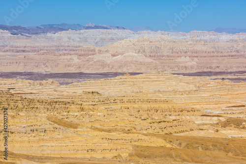 Eroded landscape and rock towers in Zanda soil forest