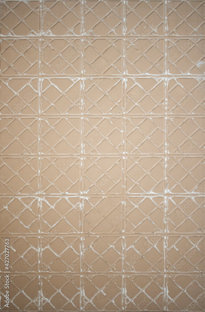 light pastel beige back of the ceramic tile. Relief texture of tile seen form behind. Geometric repetitive pattern on the wall or wallpaper.
light pastel beige back of the ceramic tile. Relief texture of tile seen form behind. Geometric repetitive pattern on the wall or wallpaper.