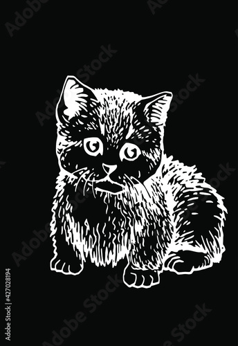 Vector sketch of kitten on black background, illustration