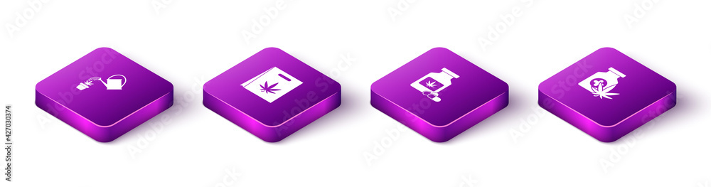 Set Isometric Watering can marijuana, Shopping bag of, Medical bottle with and icon. Vector Set Isometric Watering can marijuana, Shopping bag of, Medical bottle with and icon. Vector