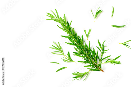 Top view Branch of fresh rosemary isolated on white background.