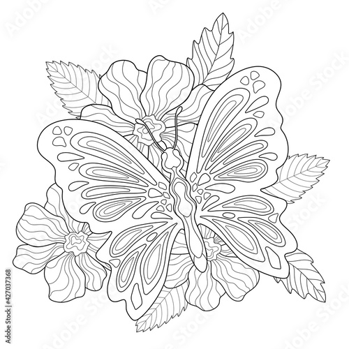 Decorative butterfly with simple patterns, flowers and leaves on a white isolated background. Insect. summer doodle illustration. For coloring book.