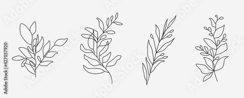 Set of flower icons on white background, isolated. Collection of floral signs for luxury minimalistic boho design. No fill and thin outlines plant symbols, garden and greenery with stem. Flower vector