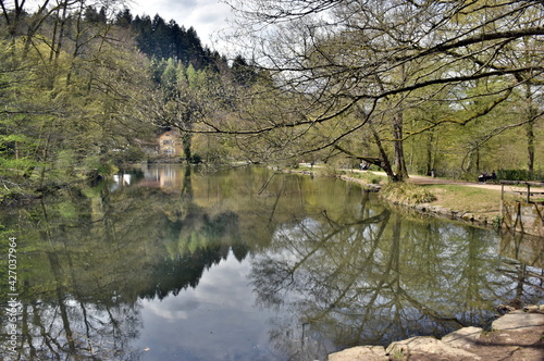 Waldsee in Freiburg im Frühling