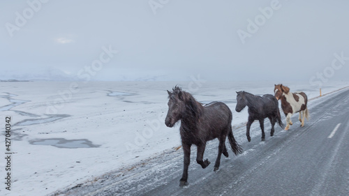 Iceland 