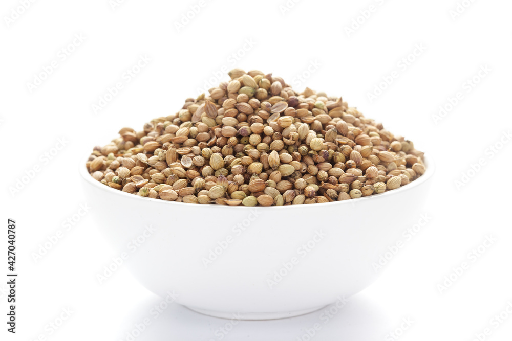 close-up of Organic Coriander( Coriandrum sativum ) on a ceramic white bowl. Pile of Indian Aromatic Spice. close-up of Organic Coriander( Coriandrum sativum ) on a ceramic white bowl. Pile of Indian Aromatic Spice.