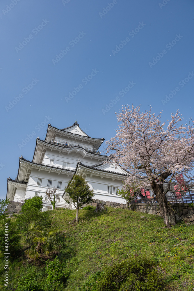 小田原城 小田原城