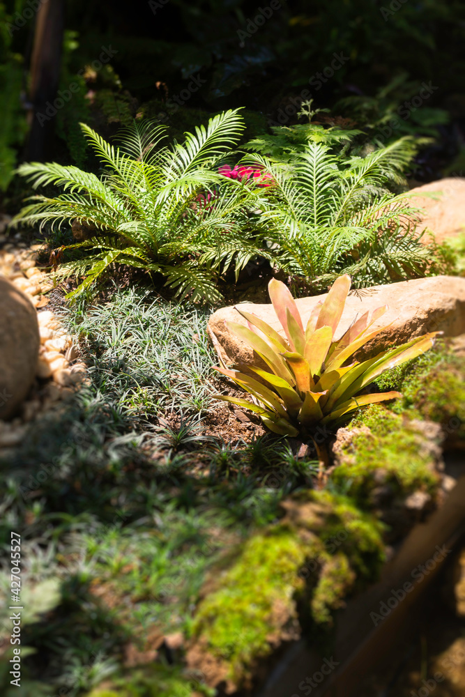 Summer green relaxation of outdoor garden Summer green relaxation of outdoor garden