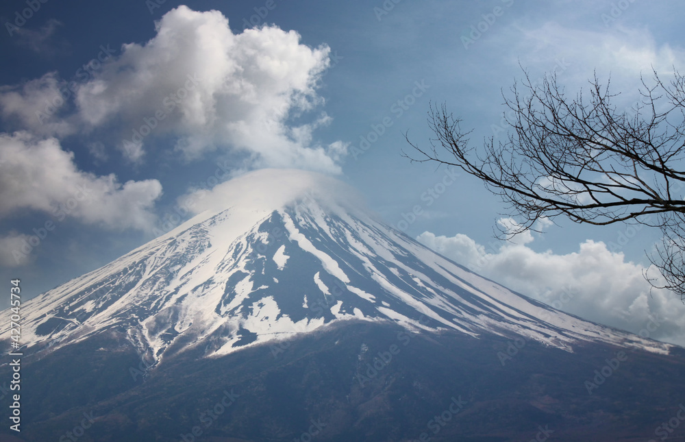 Mount Fuji and the branches of cherry trees on blue sky background.