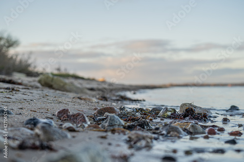 Strand Langballig photo