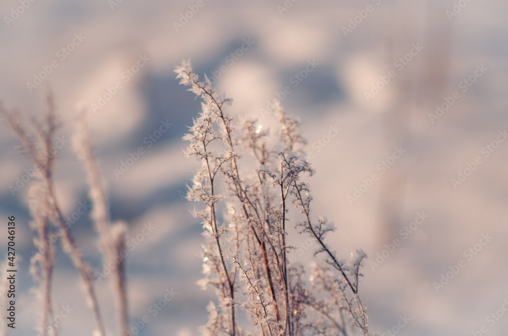 Eiskristalle in der Natur Eiskristalle in der Natur