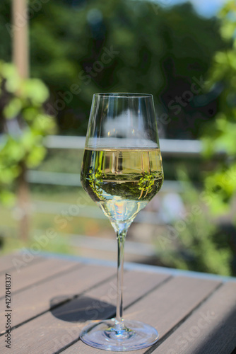 a glass of Riesling white wine on the table in Worm, Germany