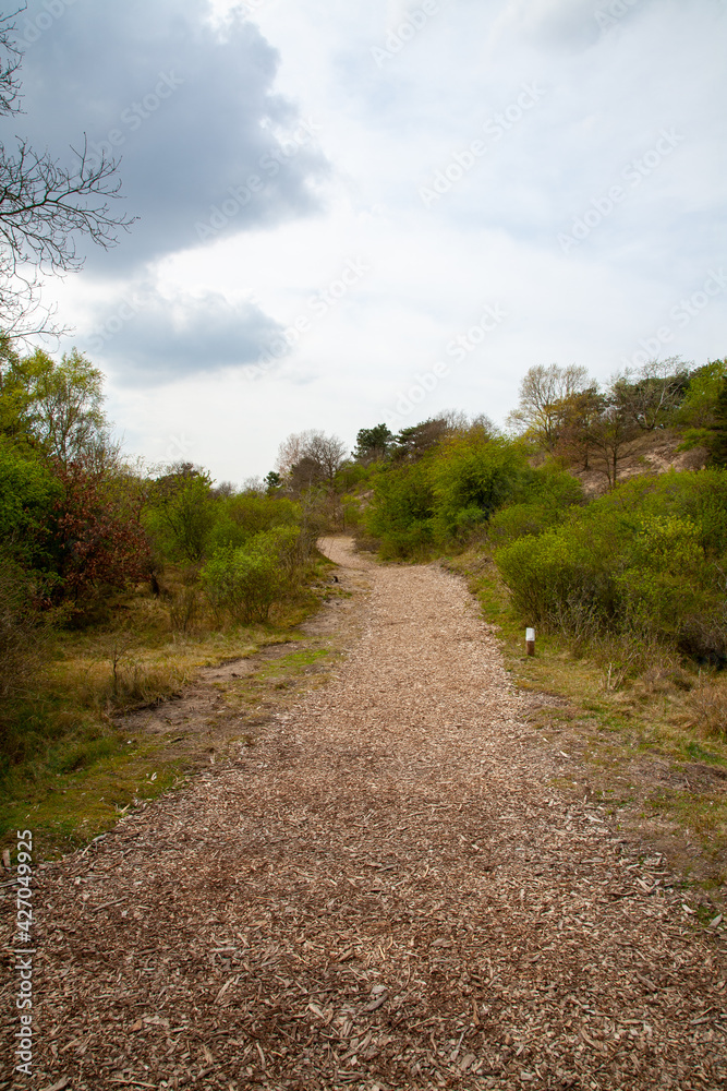 Following a path brought the nature reserve Meijendel, with dunes and coast line. Picture taken in the nature reserve Meijendel, in The Netherlands near The Hague.