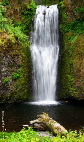 Fototapeta Naklejka Na Ścianę i Meble -  Multnomah Falls in Northwest state of Oregon