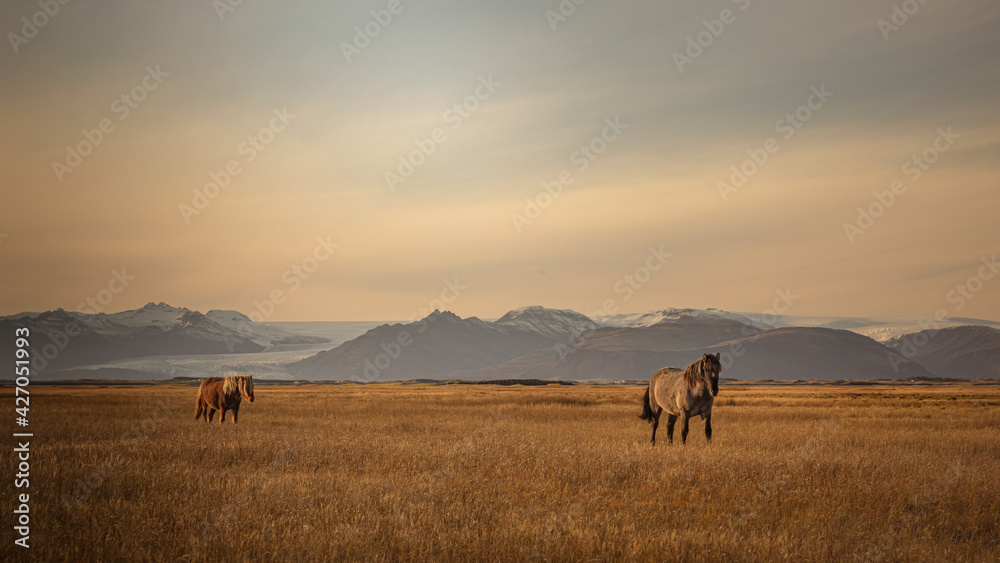 Iceland Iceland