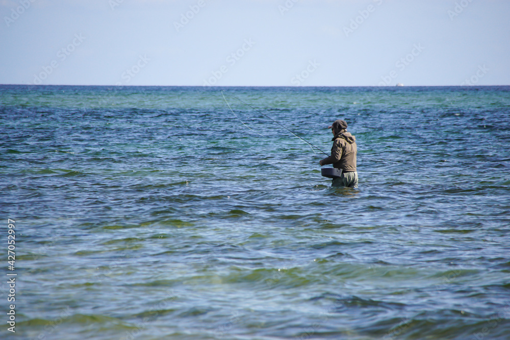 Angler
Angler