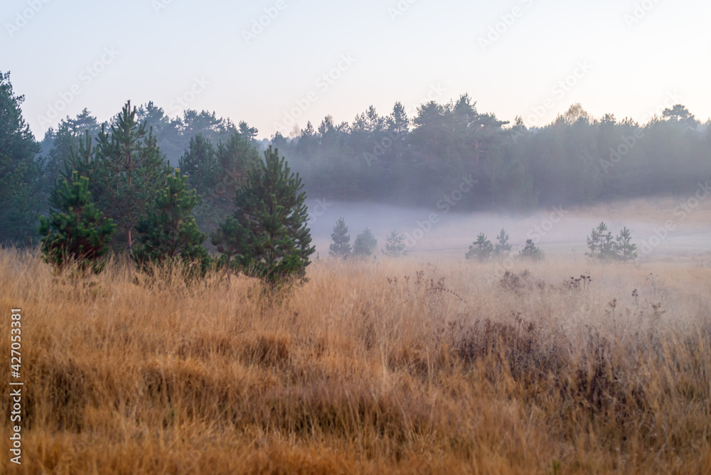Mountain field with low fog on a hazy autumn day