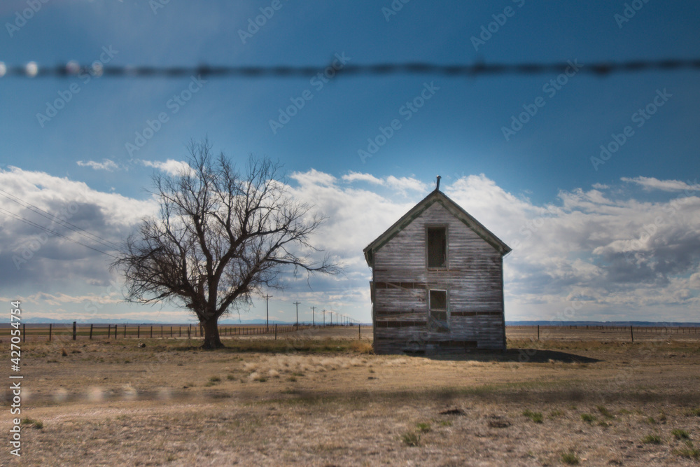 Old Farm House and Tree Old Farm House and Tree