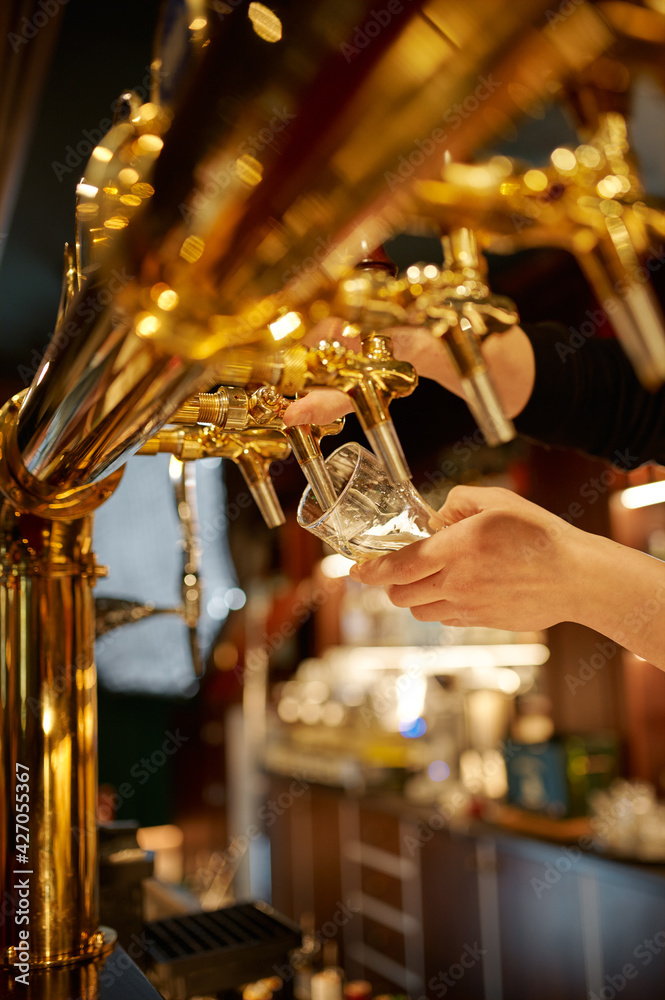 Bartender pours fresh beer into a glass Bartender pours fresh beer into a glass