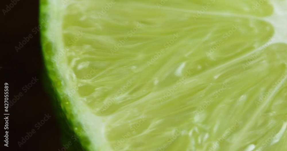 Panorama from left to right of the section of lime Panorama from left to right of the section of lime