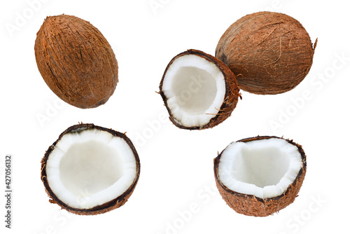 Coconut isolated on white background. Space for text or design.