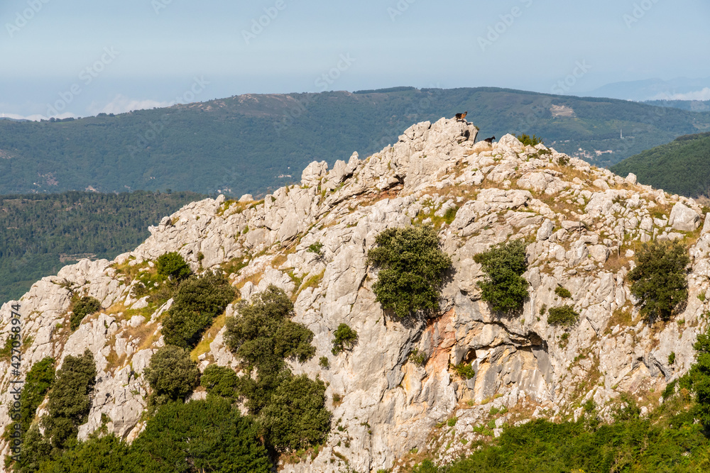 View of Rocca del Crasto near Alcara Li Fusi town in the Nebrodi Park, Sicily