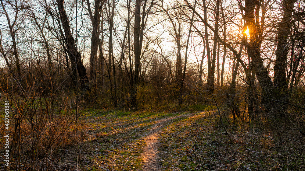 Fototapeta premium The sun sets, the mountains turn black, The bird is quiet, the field is dumb 